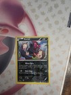 Zorua