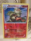Arcanine