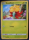 Gossifleur