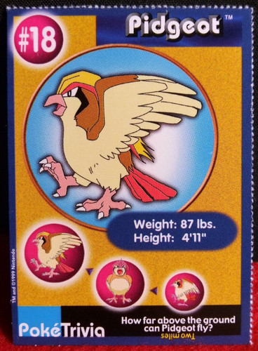 Pidgeot