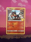 Litten