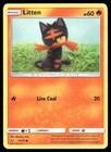 Litten