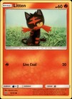Litten