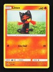 Litten