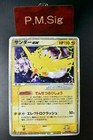 Zapdos ex
