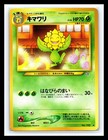 Sunflora