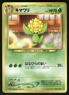 Sunflora
