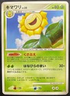 Sunflora