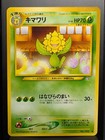 Sunflora