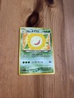 Sunflora