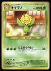Sunflora