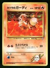 Sunflora