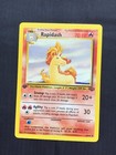Rapidash