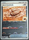 Old Dome Fossil