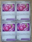 Payapa Berry