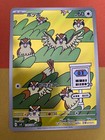 Pidgey