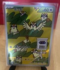 Pidgey