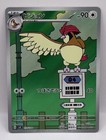 Pidgeotto