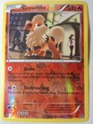 Growlithe