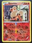 Growlithe