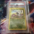 Butterfree