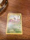 Butterfree