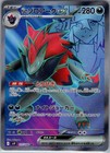 N's Zoroark ex
