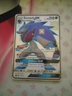 Zoroark