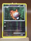 Bidoof