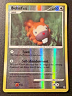 Bidoof