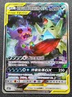 Mega Sableye & Tyranitar GX