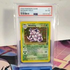 Nidoking