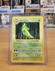 Metapod