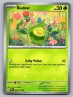 Budew