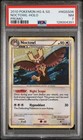 Noctowl