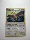 Noctowl