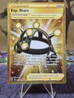 Exp. Share