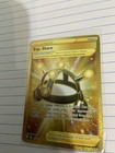 Exp. Share