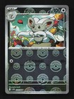 Cinccino