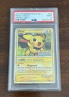 Pichu
