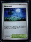Moonlit Hill