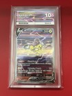 Raikou V