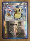 Raticate
