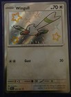 Wingull