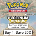 Expert Belt