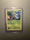 Treecko