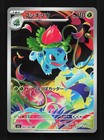 Mega Kangaskhan EX