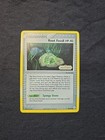 Root Fossil