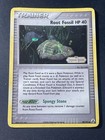 Root Fossil