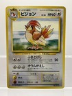 Pidgeotto